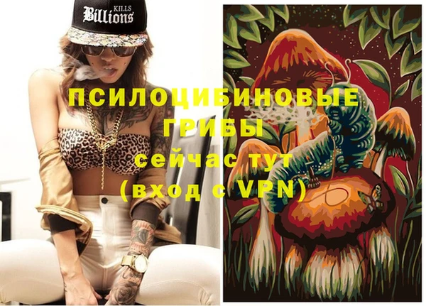 индика Кадников